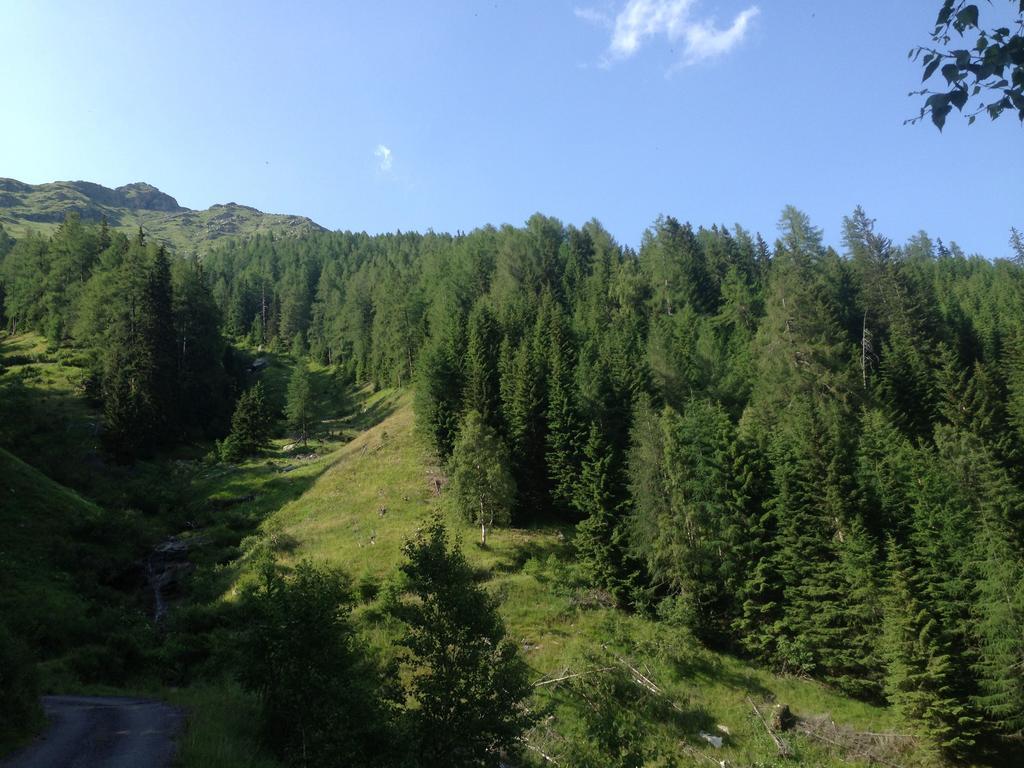 Alpenhotel Badmeister Flattach Exteriör bild